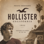 Hollister & Co