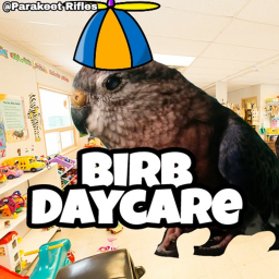 Birb Daycare