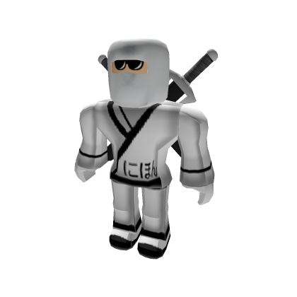 helper ninja noob
