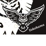 fuji High