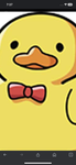 Super cool duck