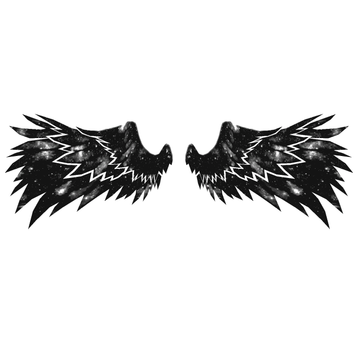 Cartoony Black Galaxy Angel Wings🌌