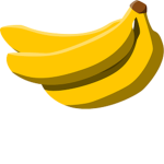 The co0l k1ds