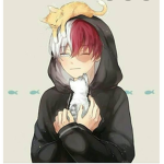 Alone_wolf_tr_teamm