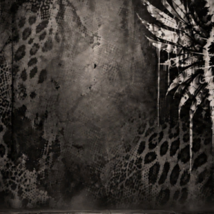 Black Emo Grunge Cat Background