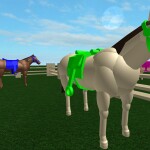 Own a Horse and Raise a horse