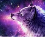 WolvesUnited