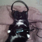 *KittySquad*