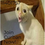 curban