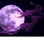 Floraison..Moon