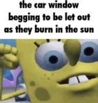 GET OUT PIZZA LOL