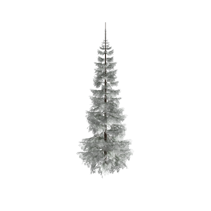 Snowy Pine Tree