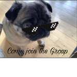 Join the Group if you Like Pugs