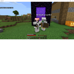 chicken's admin :3