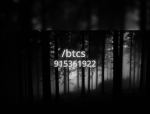 /btcs