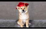 Baby Dog