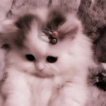 atsku