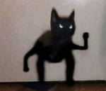 Omgronnie