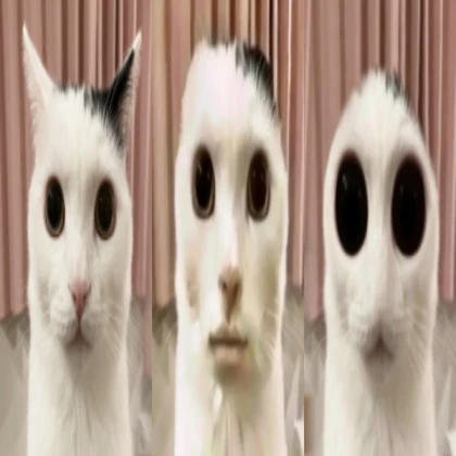 Cat FNB Icon