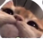I give robux oop