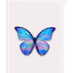 Tieger_Butterfly
