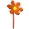 Flare Daisy produce