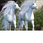 The Unicorn twins-