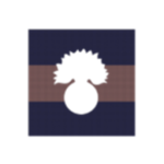 Grenadіer Guards ᅠ
