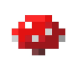 Mushroom Clothes