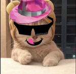 L O E