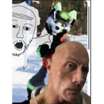 No More Furrys!
