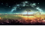 Lucid team