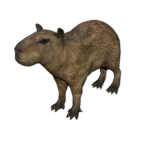 capybara family for life
