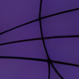 𝕓𝕖