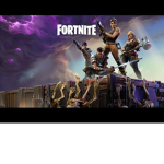 The Fortnite Fans Club