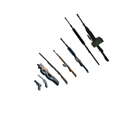 Gun Kit (R6)