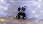 Cool pandaz rule