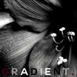 .Gradient