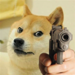DogeRaiders