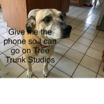 Tree Trunk Studios