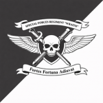 52nd Special Forces Regiment "WRAITH"