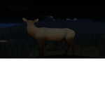 Cenozoic Survival Lore Group