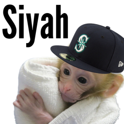 Siyah Touch