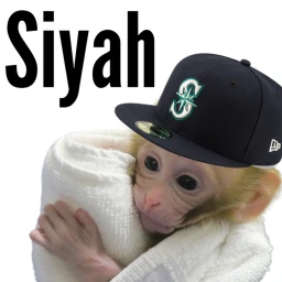 Siyah Touch icon