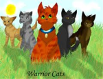 warrior cat group