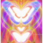 ε butterfly з
