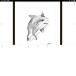 Sharkie Clothing Group