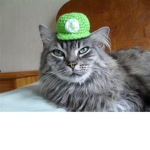 luigi's group thing