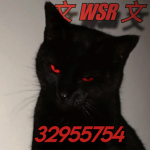 文 WSR 文