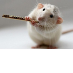 The Smacking Rat Gang